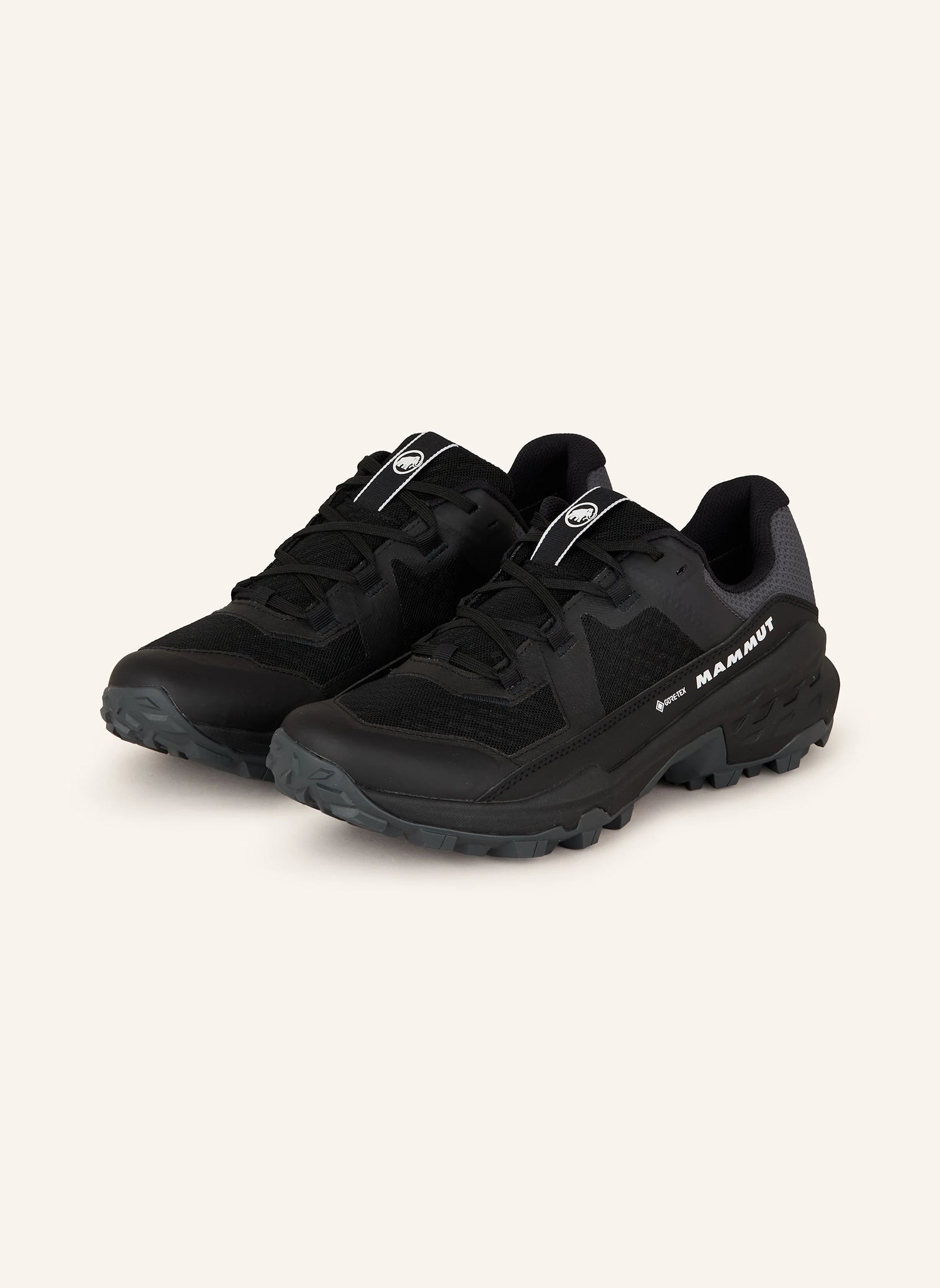 Mammut Girun II Low GTX Women MA25 3030-05390