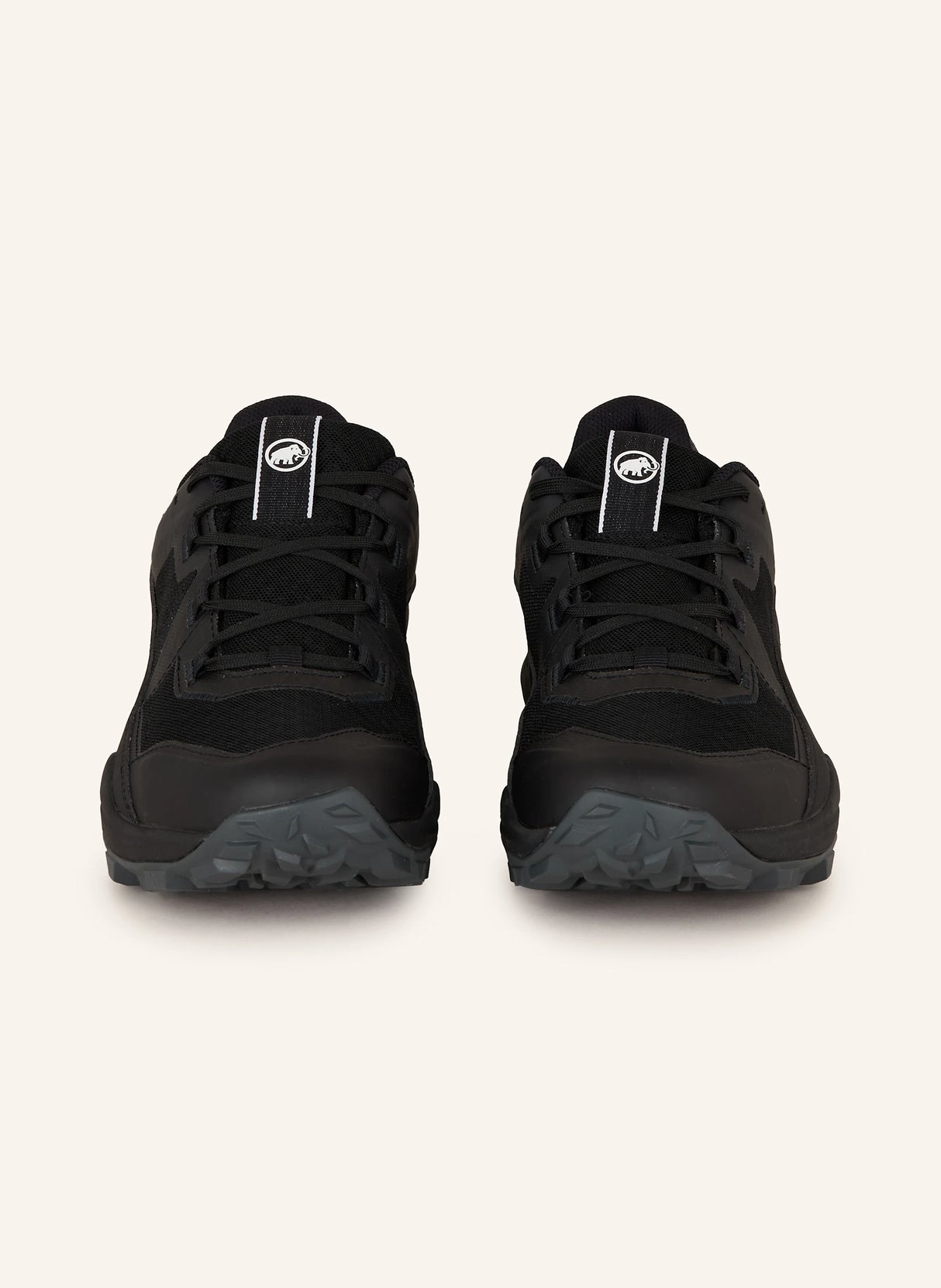 Mammut Girun II Low GTX Women MA25 3030-05390