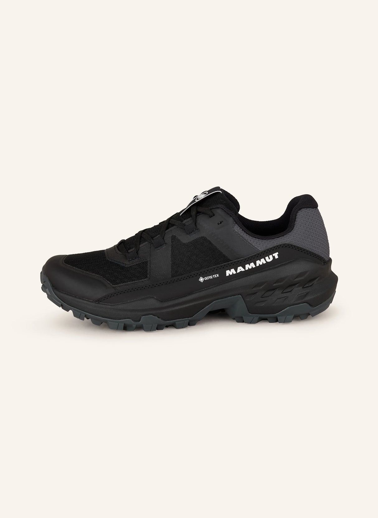 Mammut Girun II Low GTX Women MA25 3030-05390