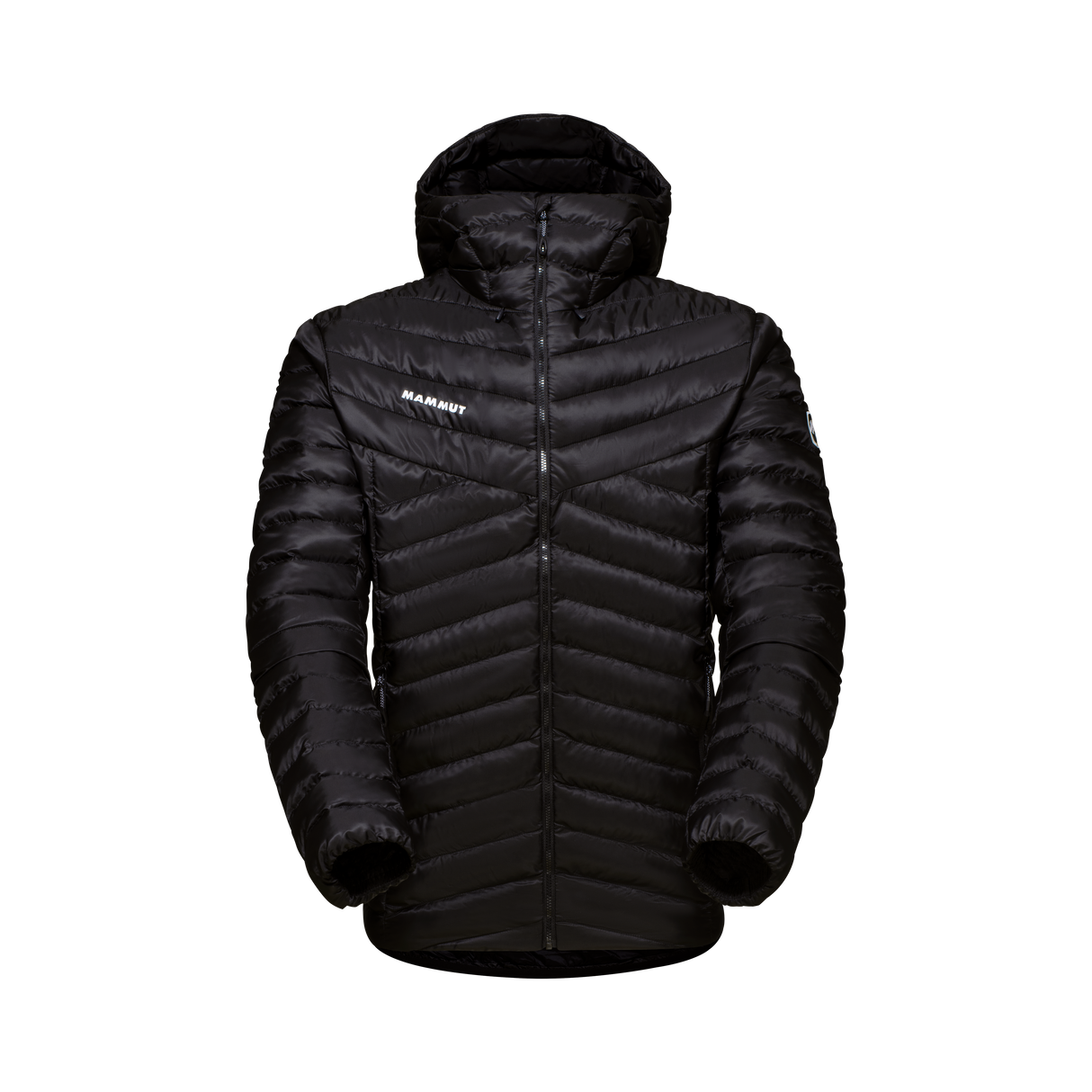 Mammut Albula IN Hooded Jacket MA25 Men 1013-01781