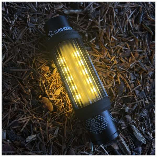 5050Workshop Onix Globe For Minimalight TR8-5WS-4343