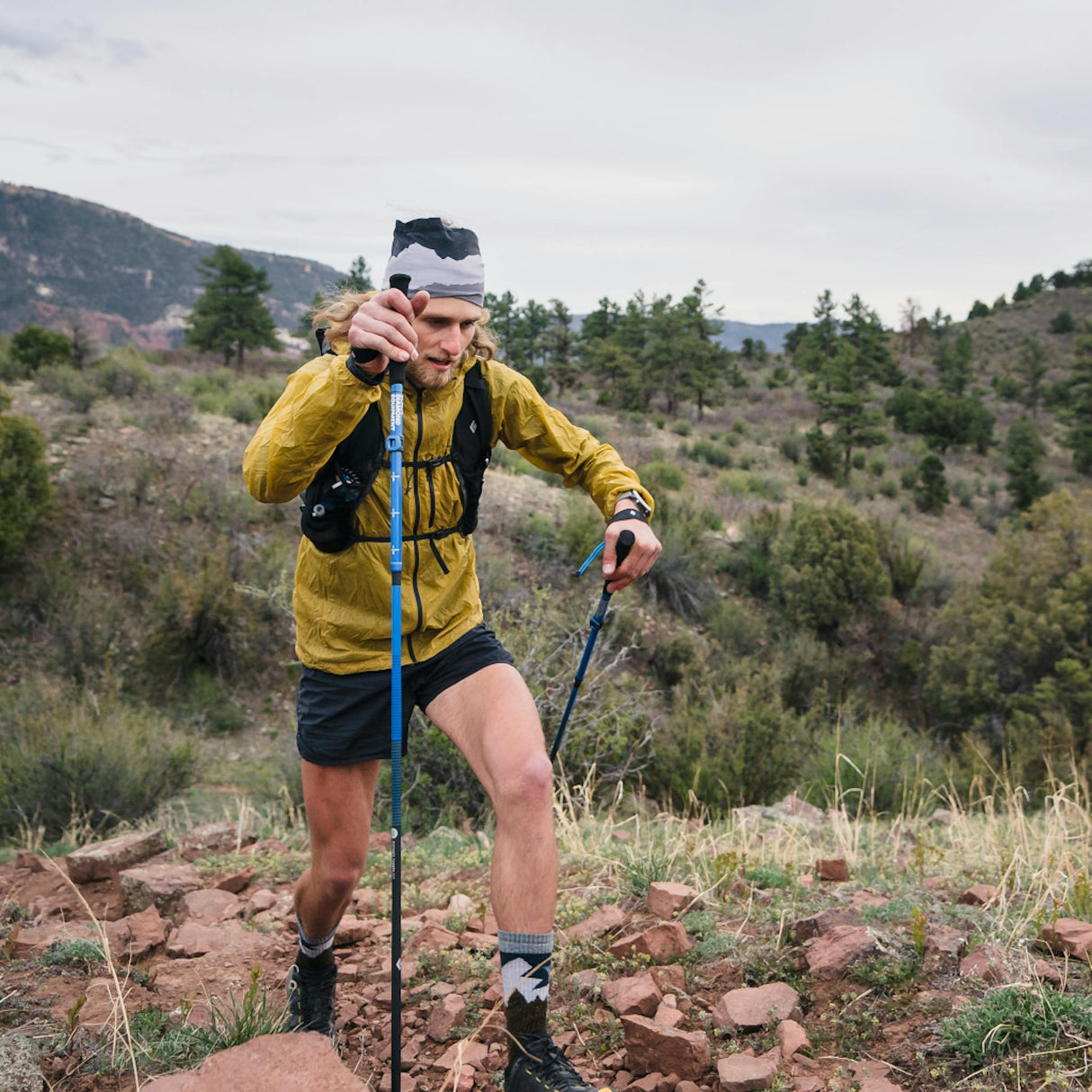 Black Diamond Distance Carbon FLZ Poles S22 112537