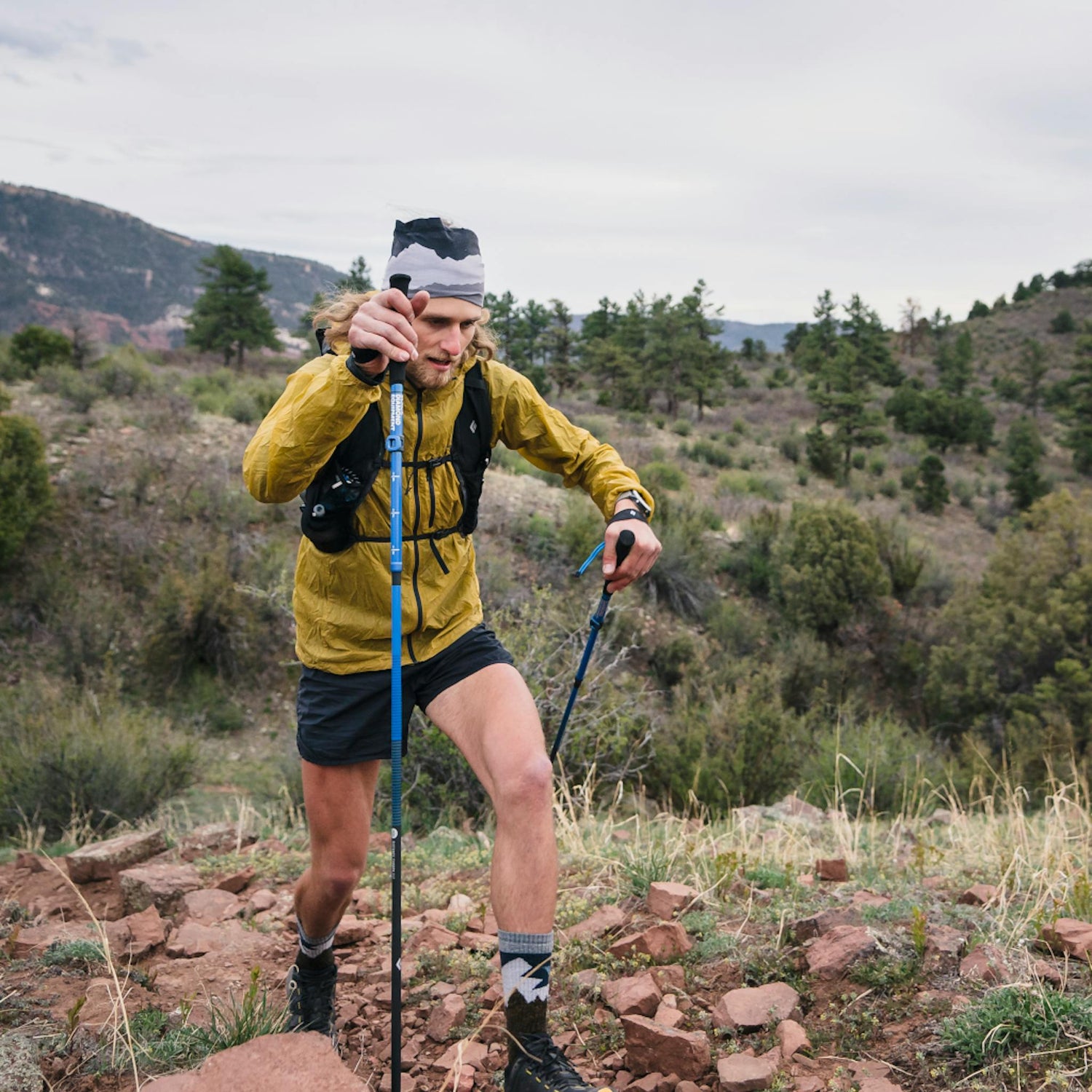 Black Diamond Distance Carbon FLZ Poles S22 112537