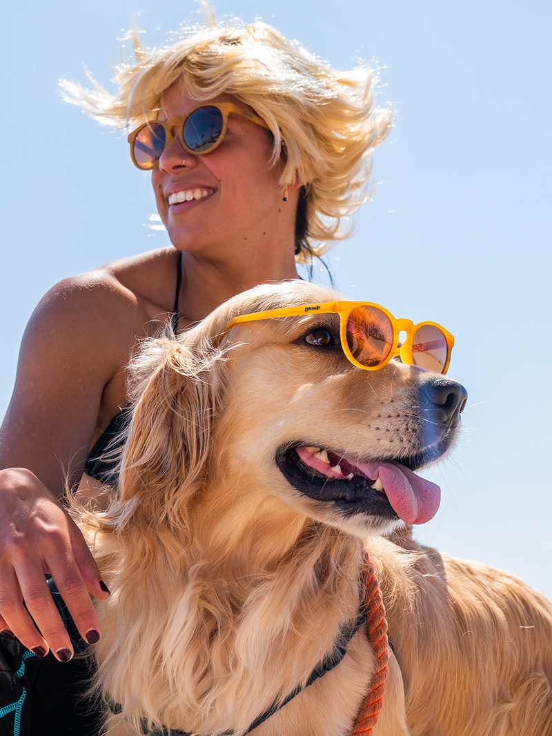 Goodr Bodhi's Ultimate Ride CG-GD-BR1-NR