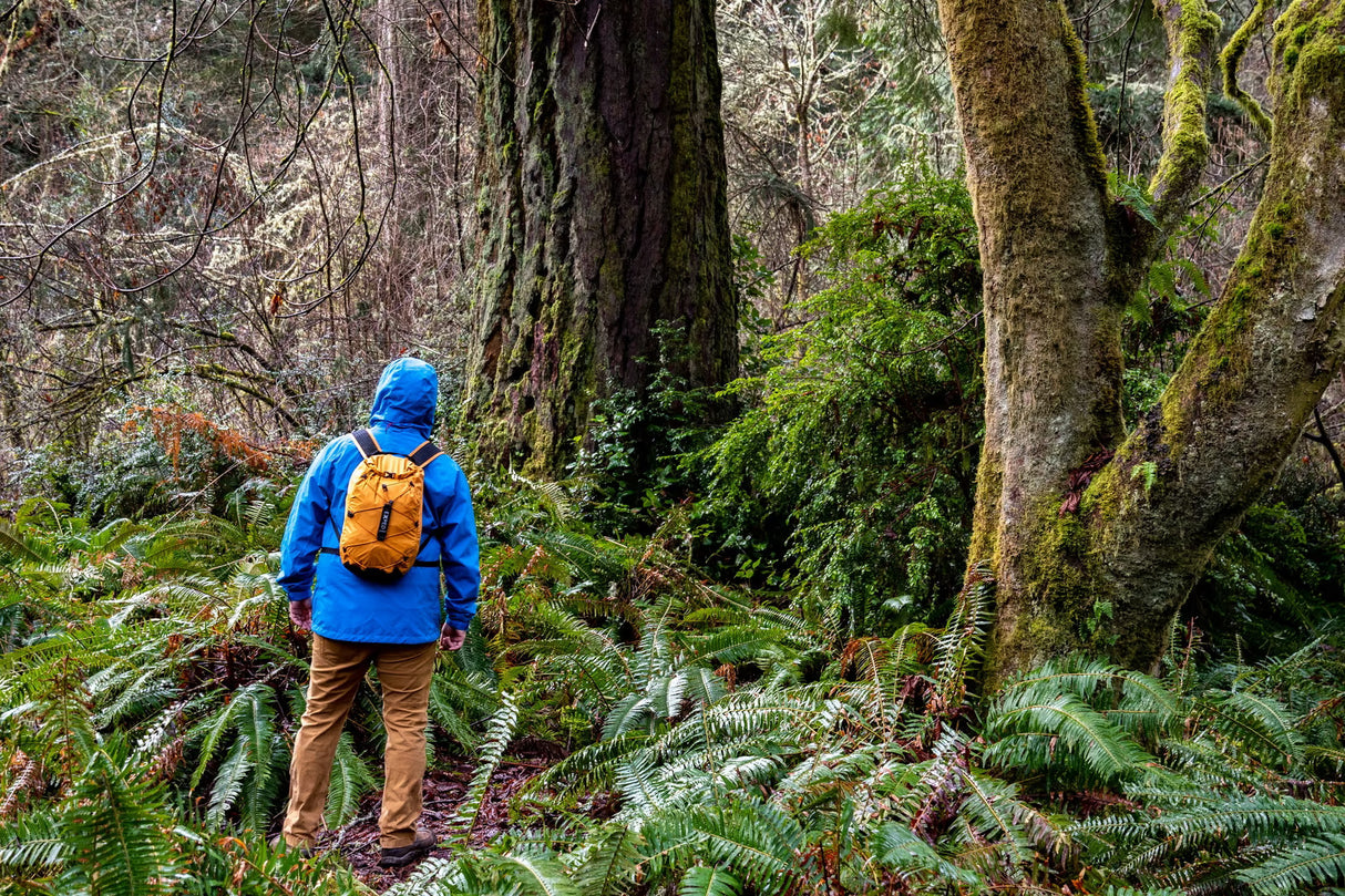 EXPED Cloudburst 15