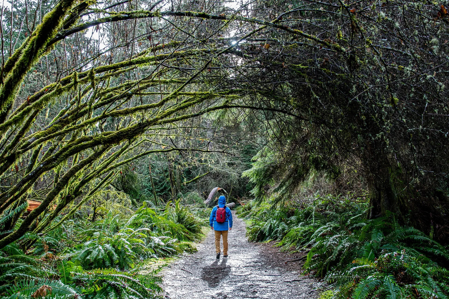 EXPED Cloudburst 15