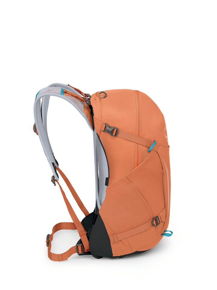 Osprey Hikelite 26