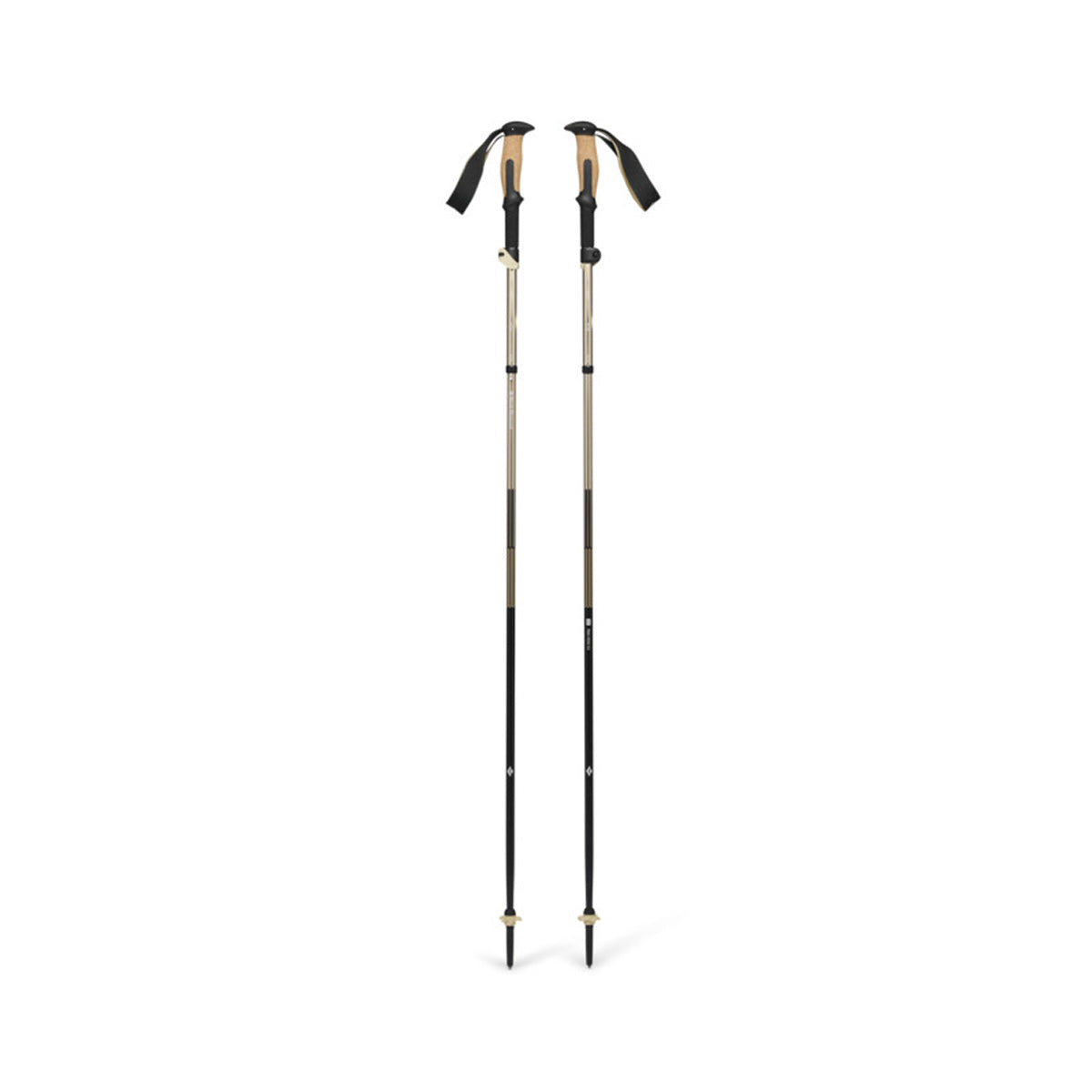Black Diamond Trail Vista FLZ Trekking Poles 112560